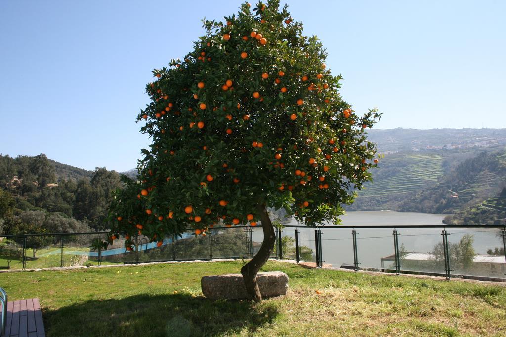 Quinta Das Quintas & Spa Guest house