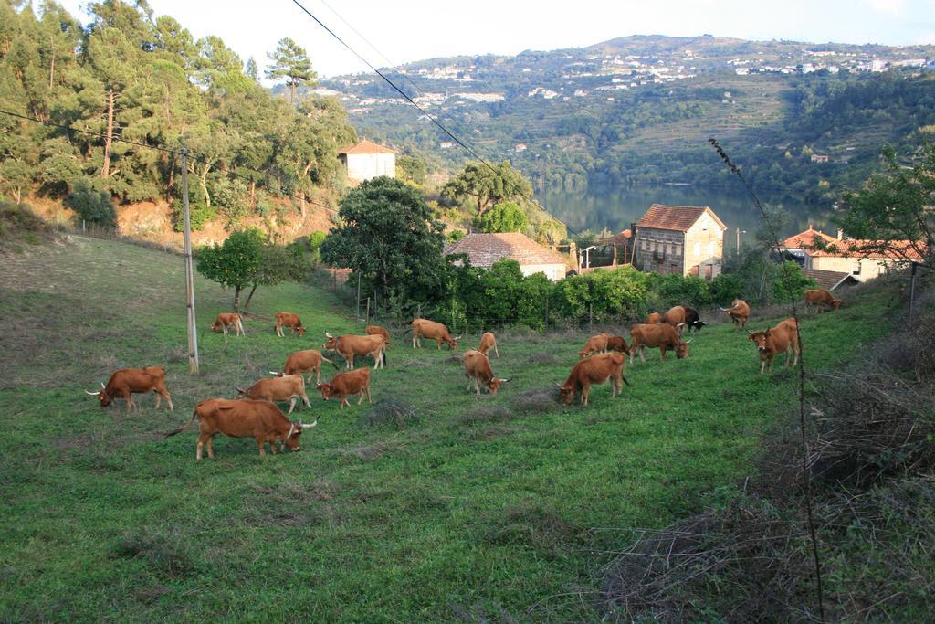 Quinta Das Quintas & Spa Guest house 4*